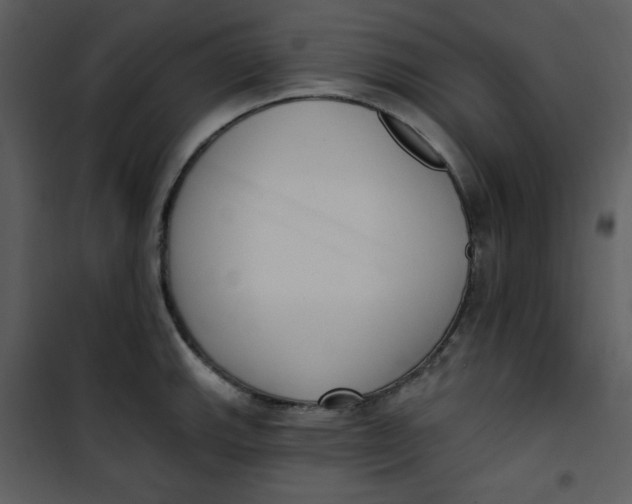 X0000101231143200807181557