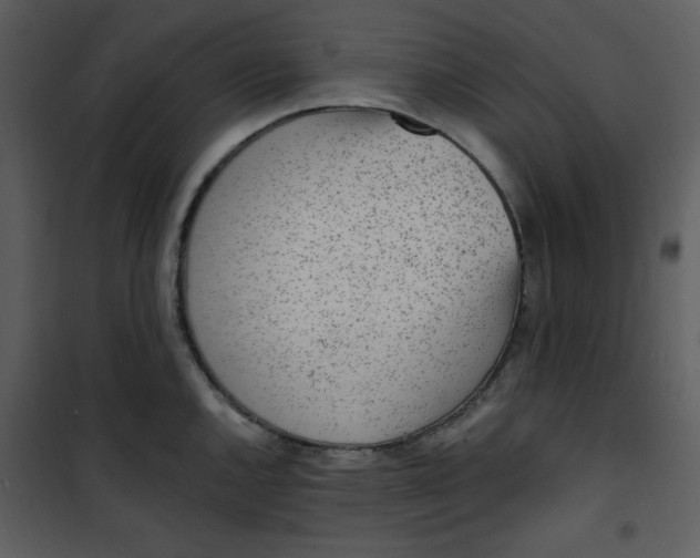 X0000101231144200807181557