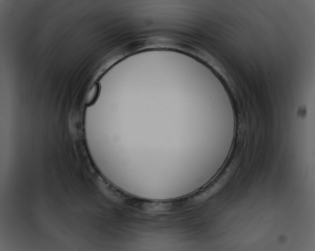 X0000101231145200807181557