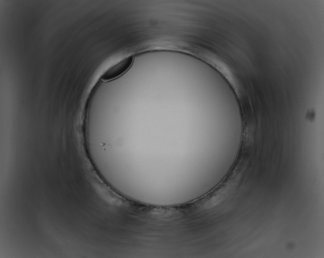 X0000101231146200807181557