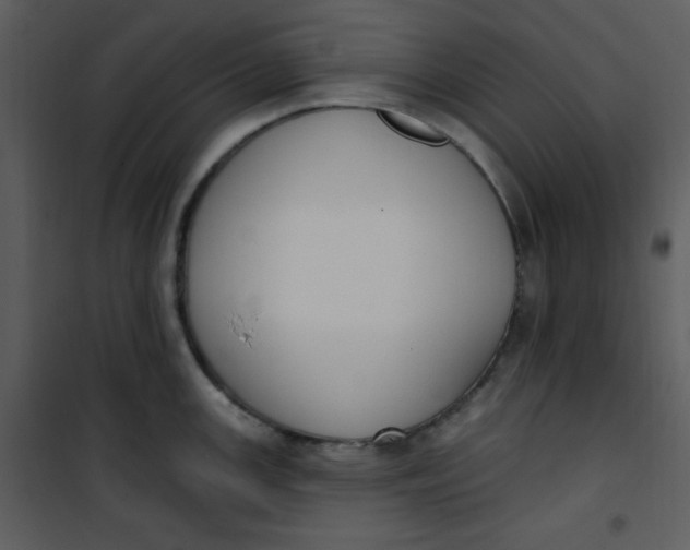 X0000101231147200807181557