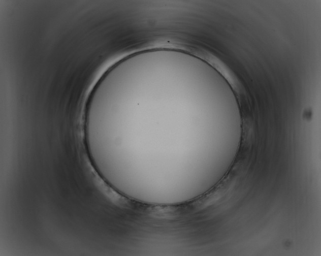 X0000101231148200807181557