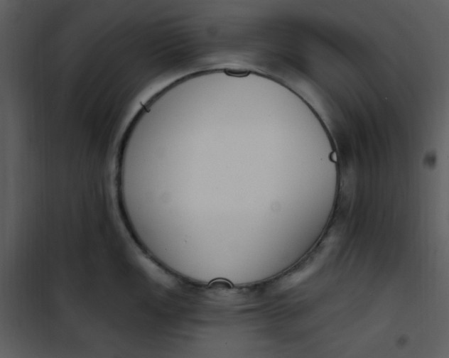 X0000101231149200807181557