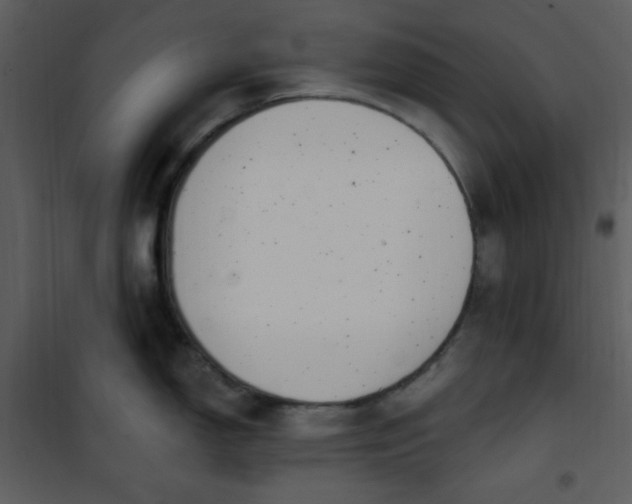 X0000101231150200807181557