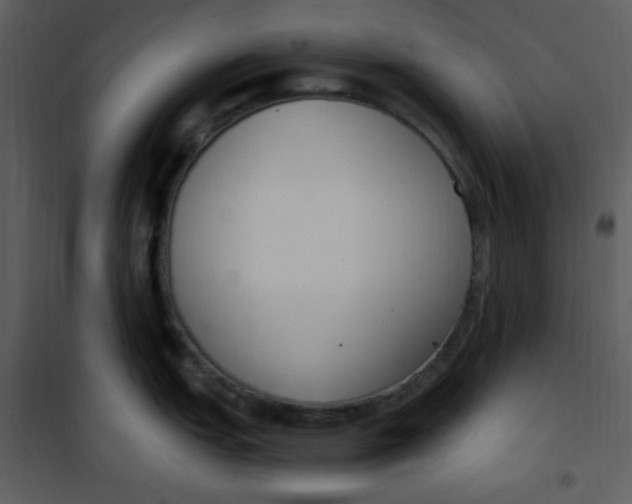 X0000101231151200807181557