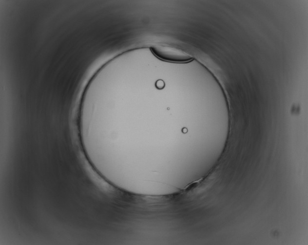 X0000101231152200807181557