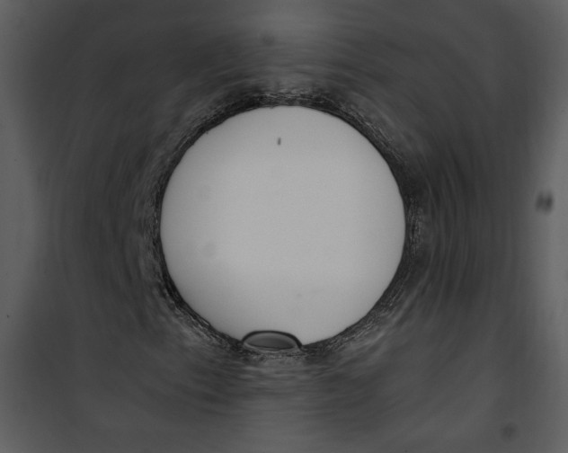 X0000101231153200807181556