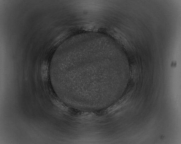 X0000101231154200807181556