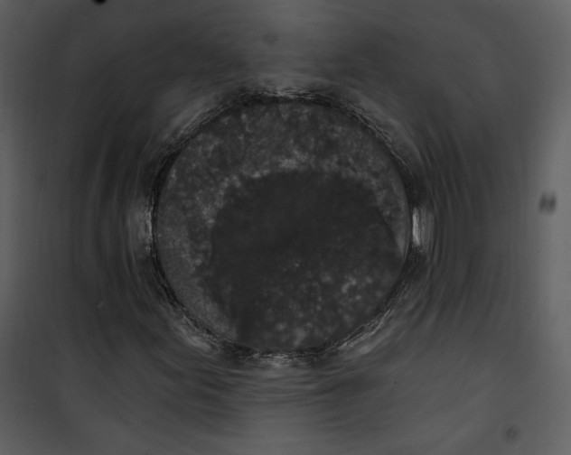 X0000101231155200807181556