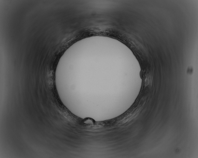 X0000101231156200807181556