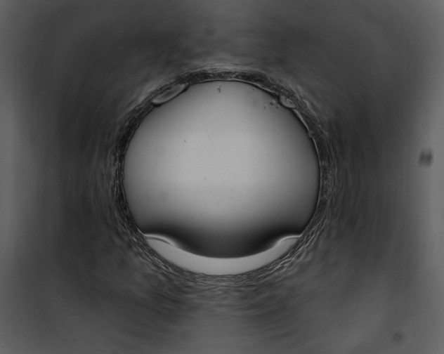 X0000101231157200807181556