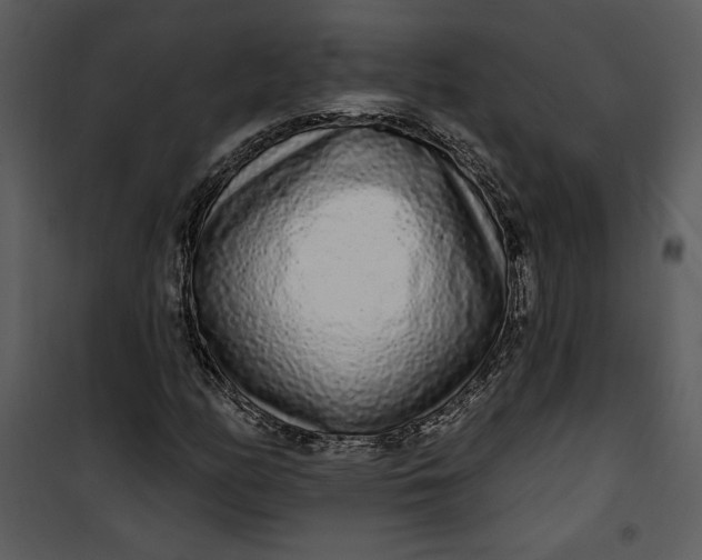 X0000101231158200807181556