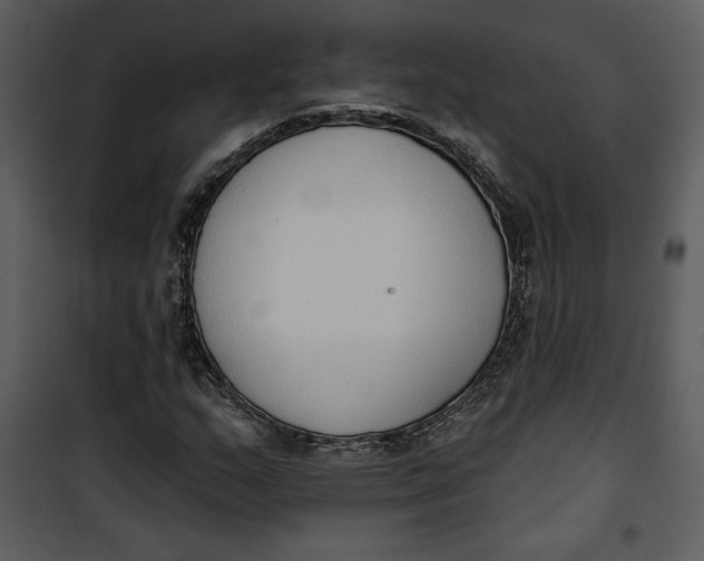 X0000101231159200807181556