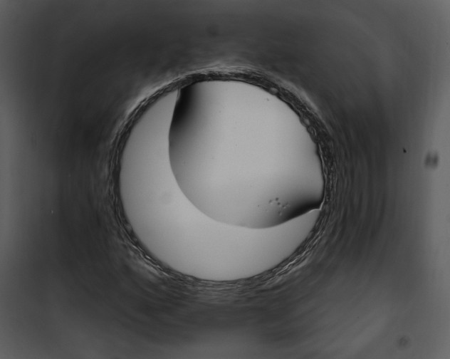 X0000101231160200807181556