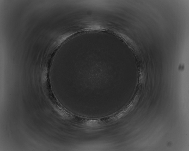 X0000101231161200807181556