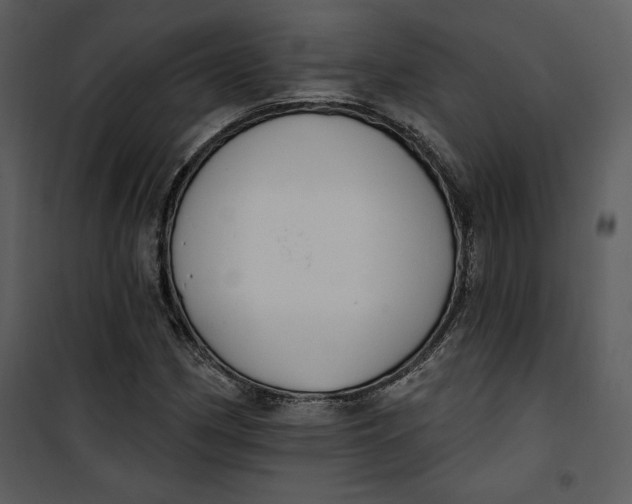 X0000101231162200807181556