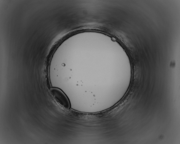 X0000101231164200807181556