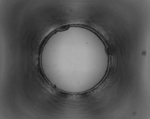 X0000101231165200807181556