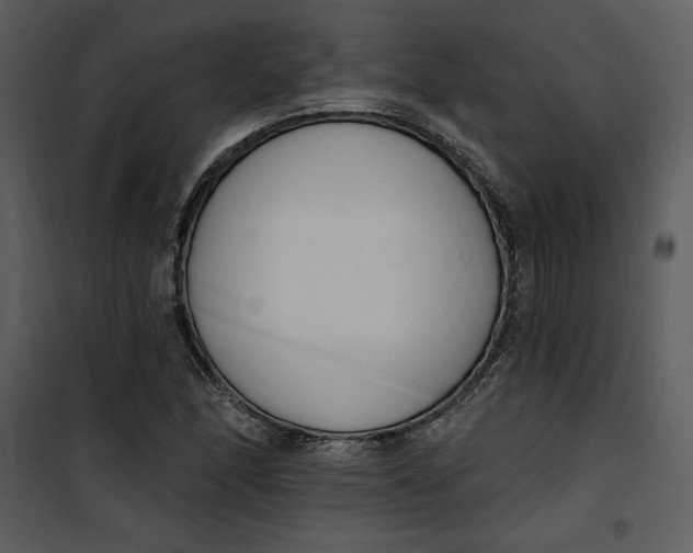 X0000101231166200807181556