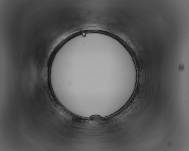 X0000101231167200807181556