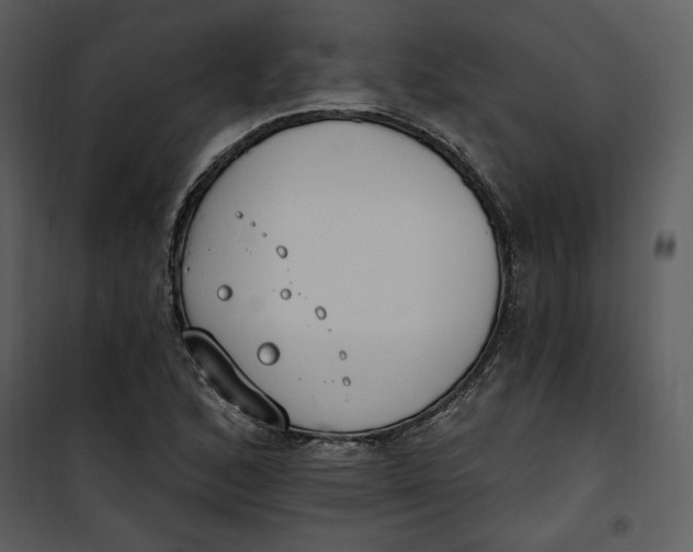 X0000101231168200807181556