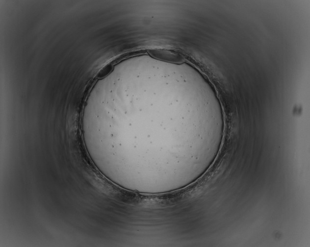 X0000101231169200807181556