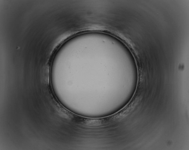 X0000101231171200807181556