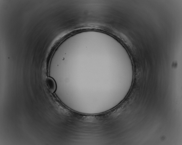 X0000101231172200807181556