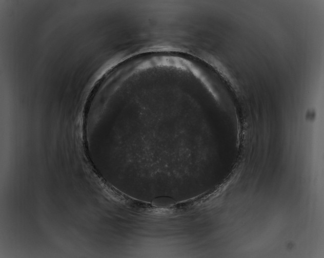 X0000101231173200807181556