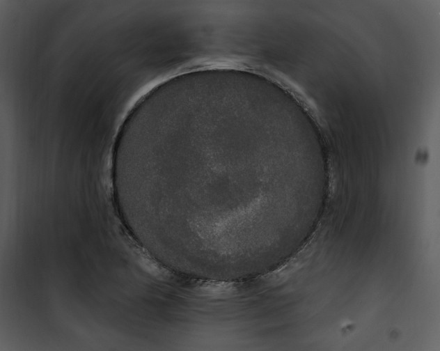 X0000101231174200807181556