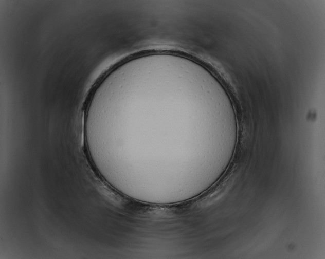 X0000101231175200807181556