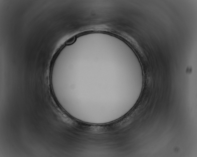 X0000101231176200807181556