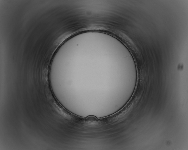 X0000101231177200807181556