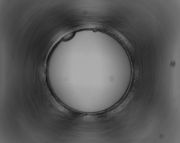 X0000101231178200807181556