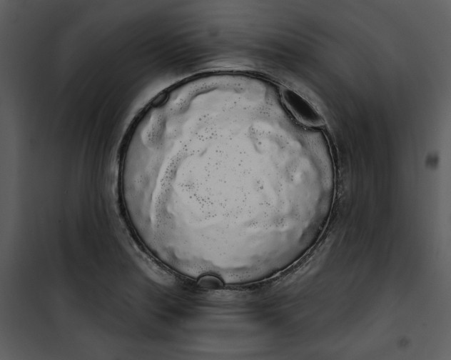 X0000101231179200807181556