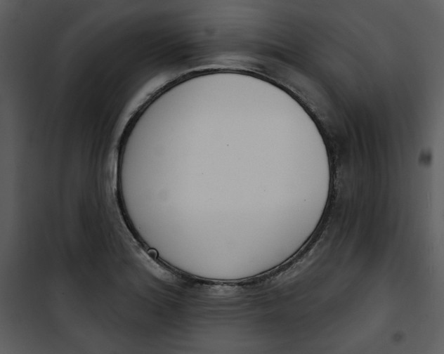 X0000101231180200807181556