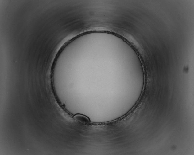 X0000101231181200807181556