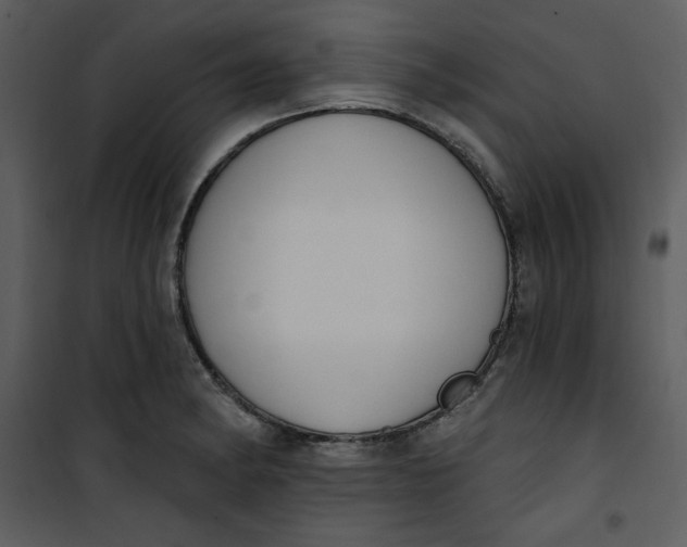 X0000101231182200807181556