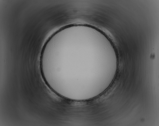 X0000101231183200807181556