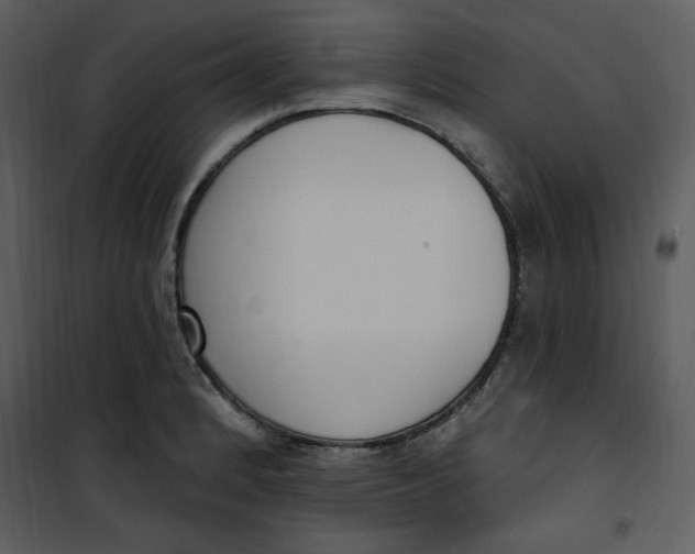 X0000101231184200807181556