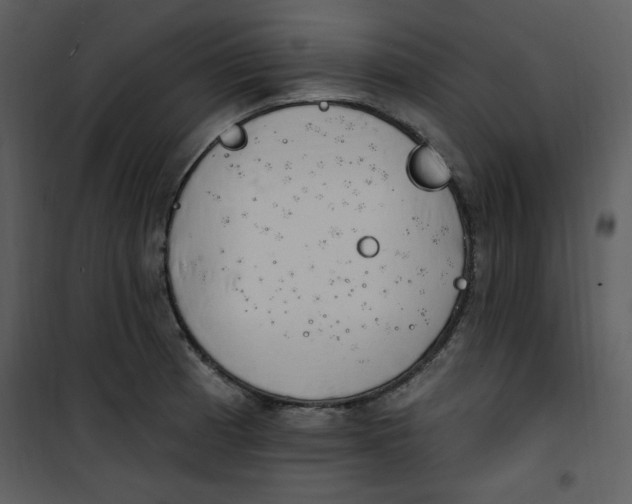 X0000101231185200807181556