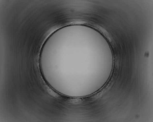 X0000101231186200807181556