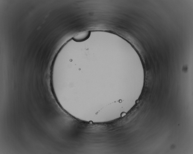 X0000101231187200807181556