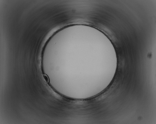 X0000101231188200807181556