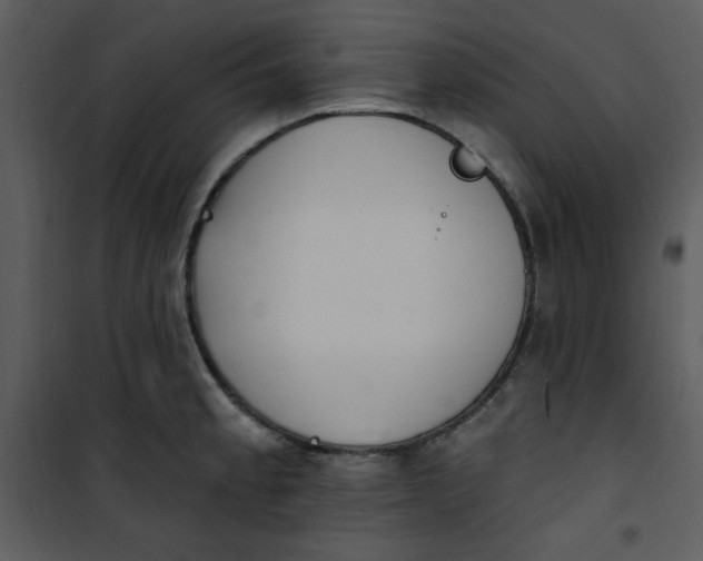 X0000101231189200807181556