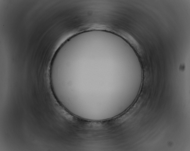 X0000101231190200807181556