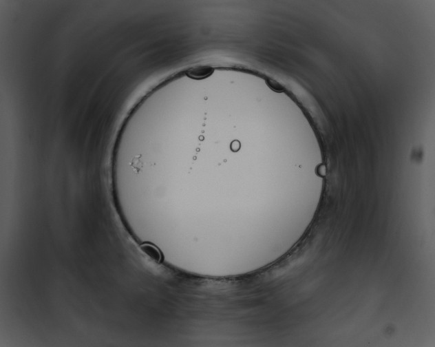 X0000101231191200807181556