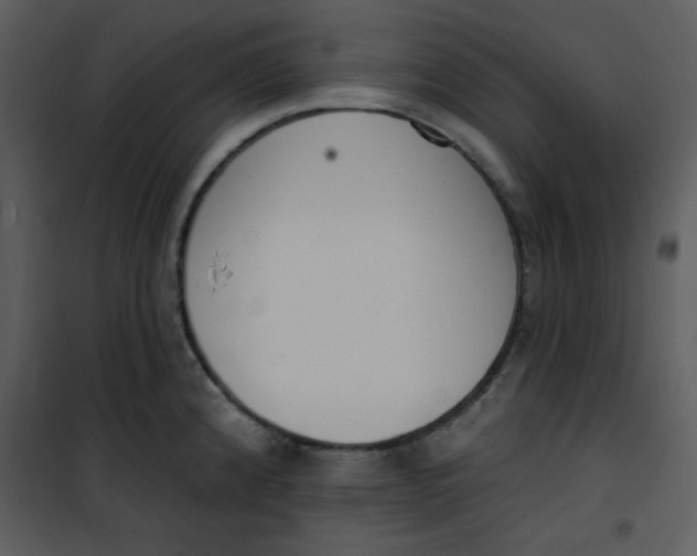 X0000101231192200807181556