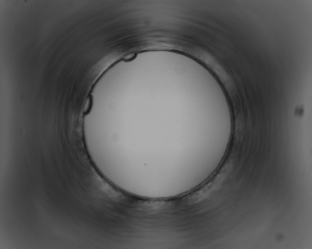 X0000101231193200807181556