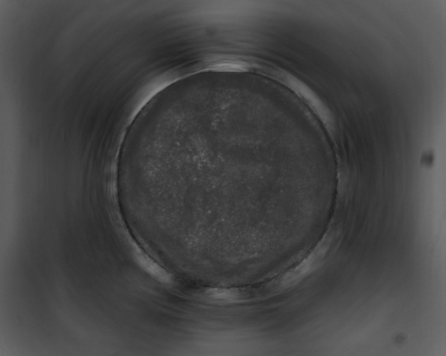 X0000101231194200807181556